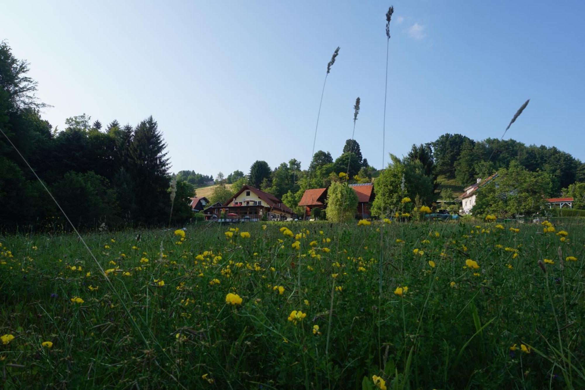 Seminar- Und Erlebnishof Das Schwarze Schaf Bed & Breakfast Bad Gams Exterior photo